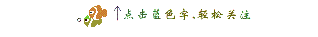 超完整版託福寫作筆記，僅此一份