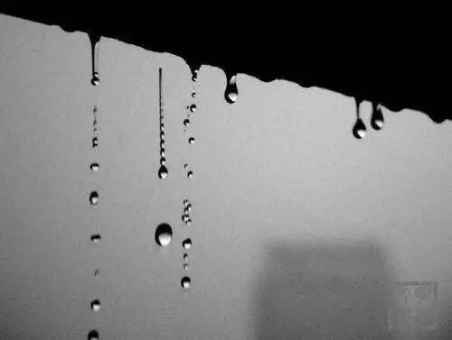 波士頓去年有多少天在下雨下每下雪？（附一條所有女生都必須看的新聞！！）