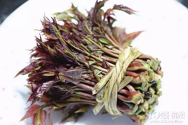 波士頓驚現香椿炒雞蛋！小編朝思暮想，夜不能寐！