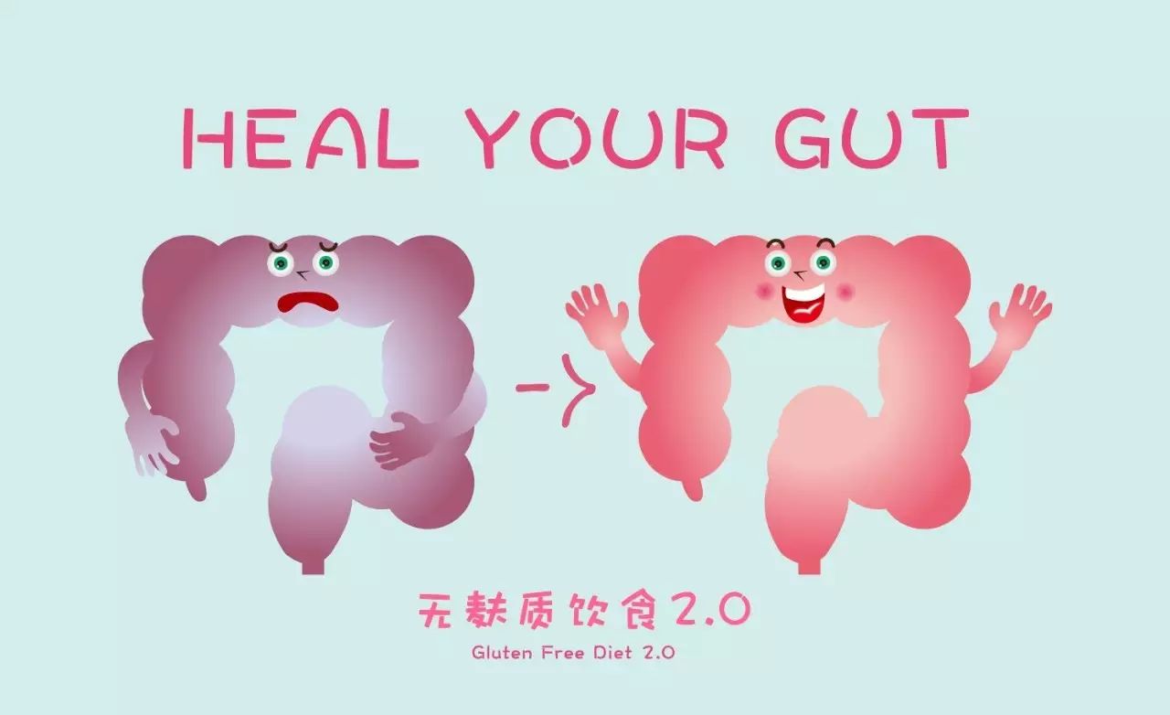 如何真正地修復你的腸道？