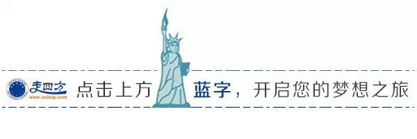 什麼？！黃石公園的野生動物究竟藏在哪了？一招教你如何邂逅