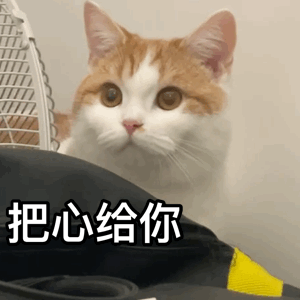 2025年新年禮盒徵集，等你來投！