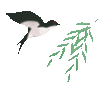 OmegaBioservices回國所需的新型冠狀病毒核酸檢測點