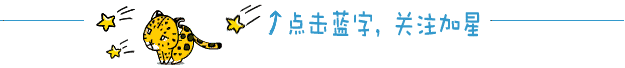 為兔猻蓋新房，是人類對自然的亡羊補牢