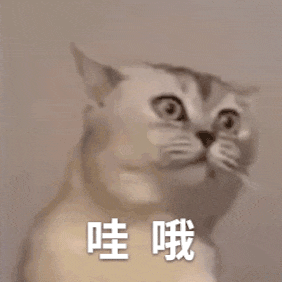 這屆985畢業生直播帶貨一把好手！50餘款產品熱銷全網供不應求