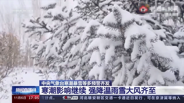 遭不住了，這條鵝絨褲真能救命，防風抗寒超保暖，穿上就像泡溫泉！