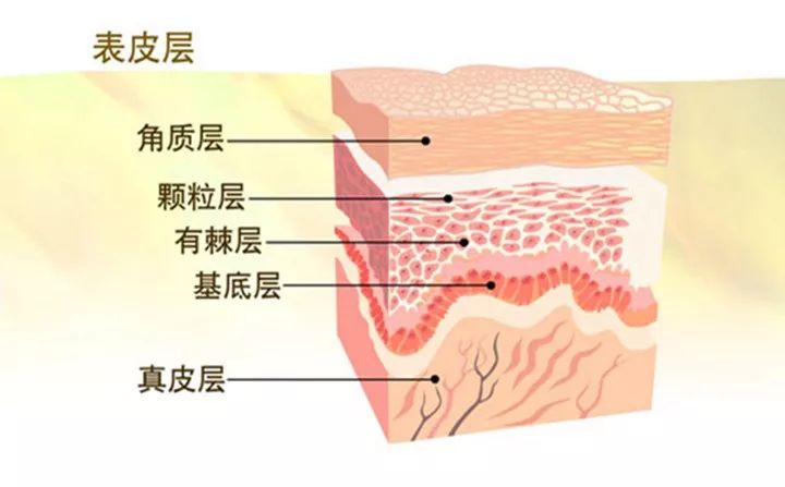 剛剛！2023白癜風（白斑）/銀屑病（牛皮癬）重點公益專案招募500名患者，速申~