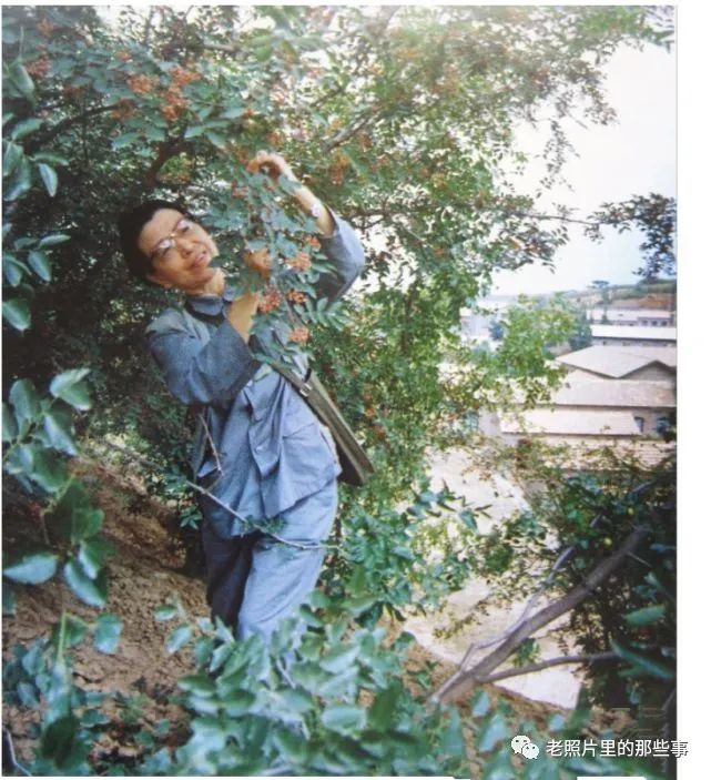 60歲江青被抓拍的兩張照片！