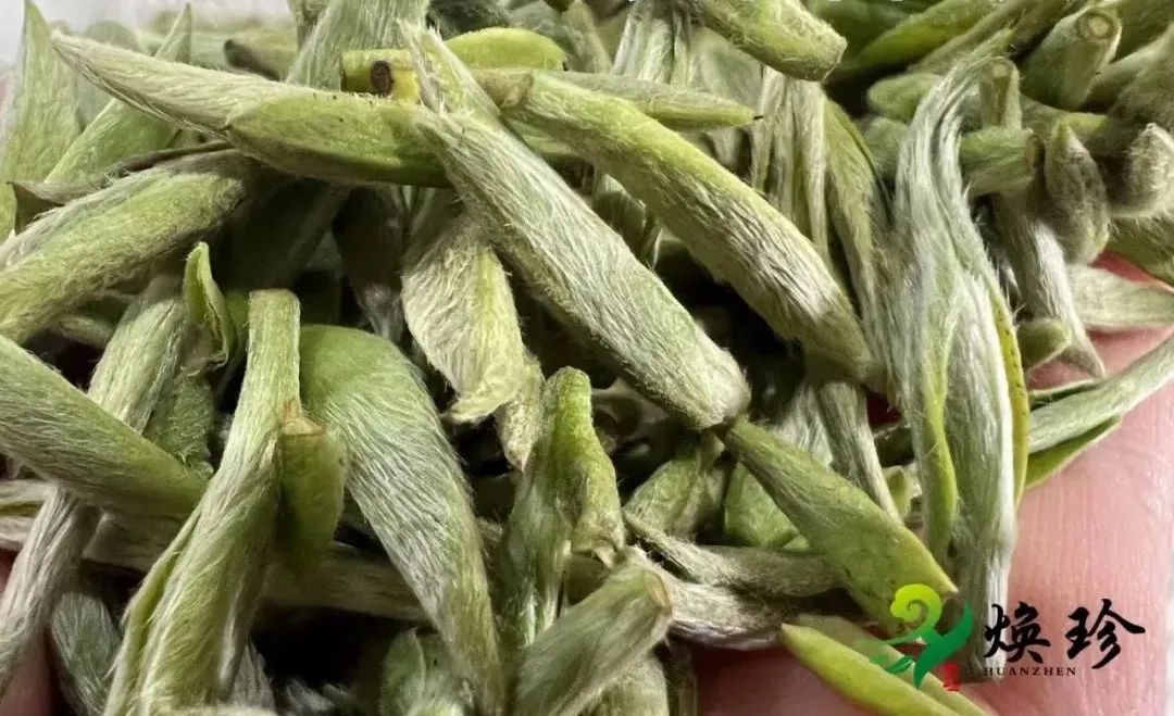 求助！出口訂單被迫取消，大量白茶簡直白送！