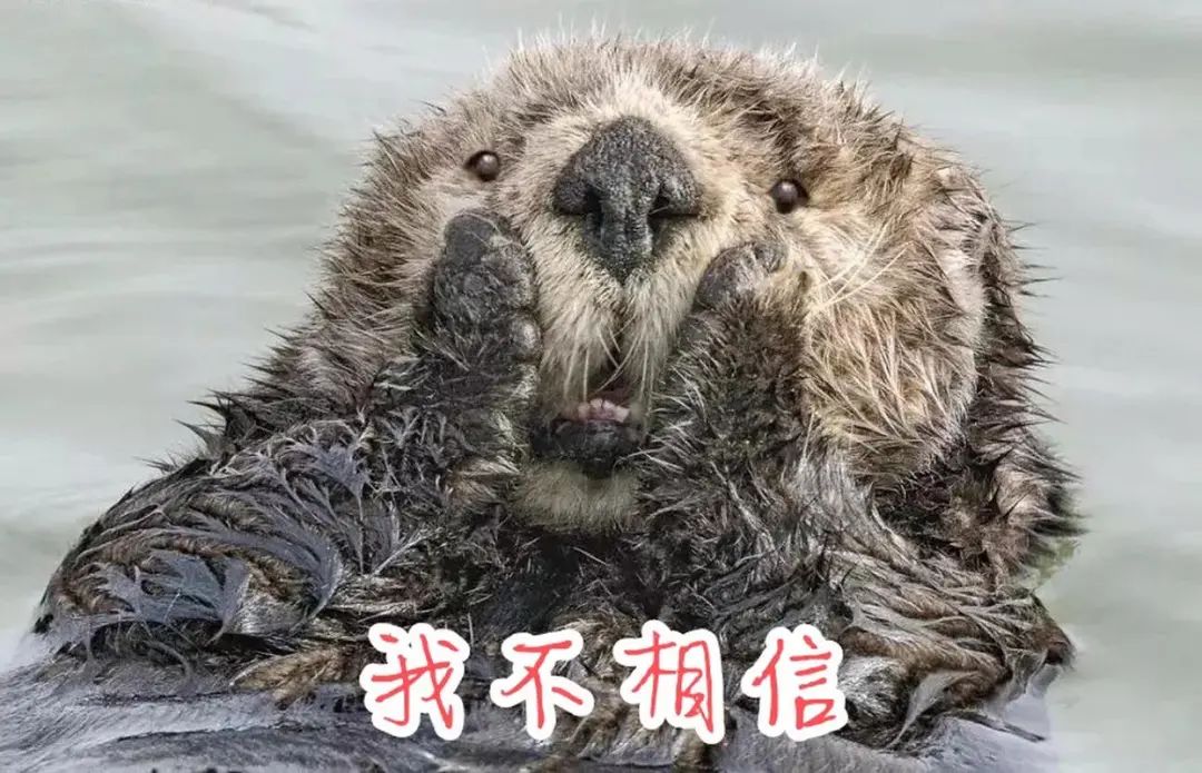 驚訝丨居然有人撕了Amazon的returnOFFER！