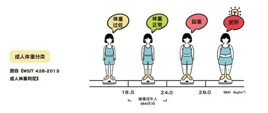 我到底胖不胖？怎麼減重不反彈？