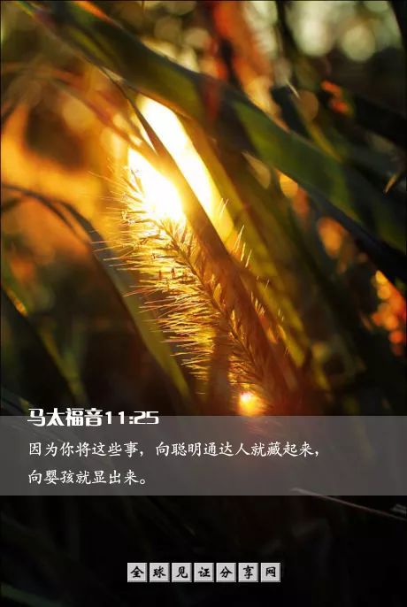 我自己信主耶穌的經過