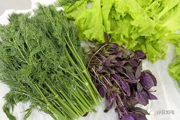 【囤】別再囤泡麵了！利用蘋果、紙巾讓蔬菜儲存更久