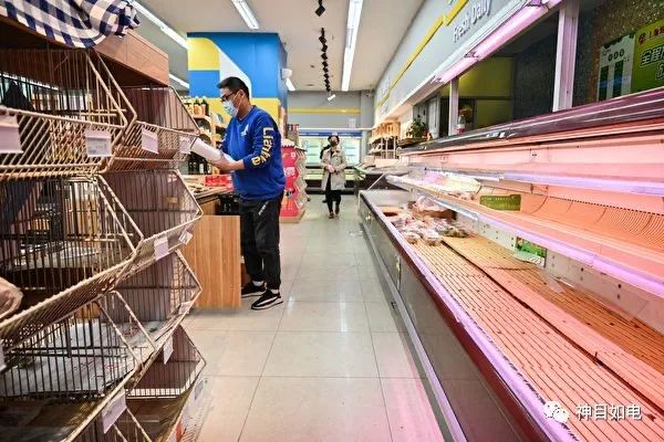 【囤】囤糧到底囤什麼？這些食物耐放又增免疫力