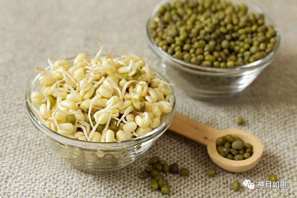 【囤】家裡必備的3種食物能長久存放還增免疫力