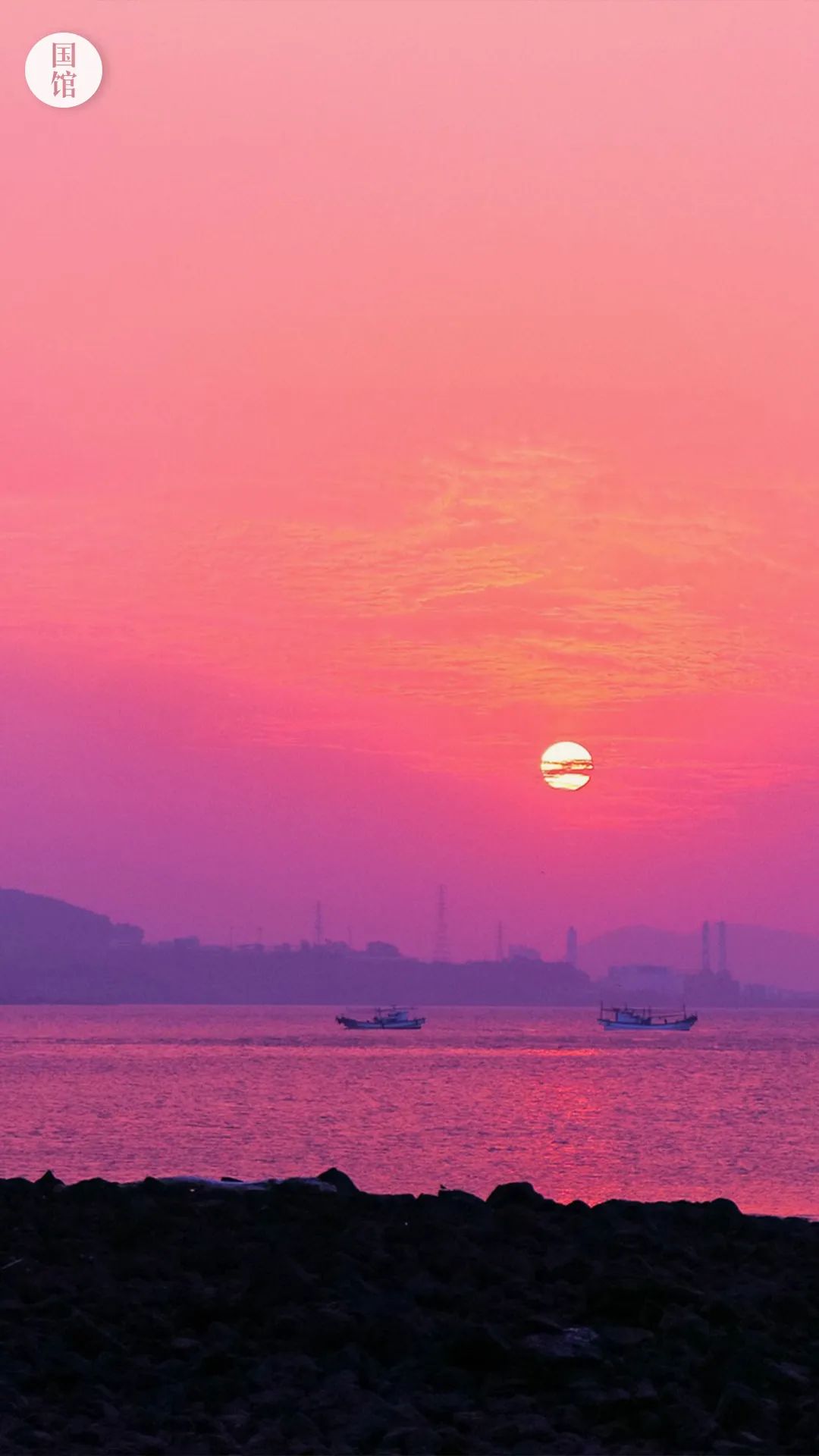 一日禪|利益當前，智商容易掉線