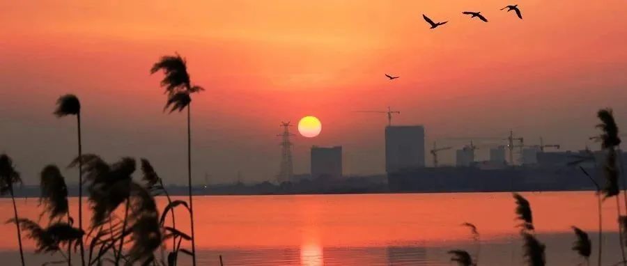 雙雙破“5”了！樓市，底在哪兒？