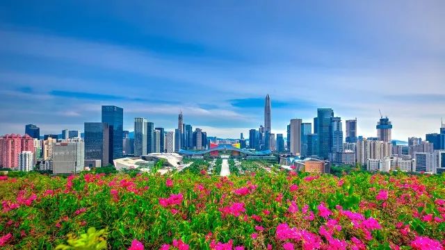 深圳，從大學窪地變成了大學高地？