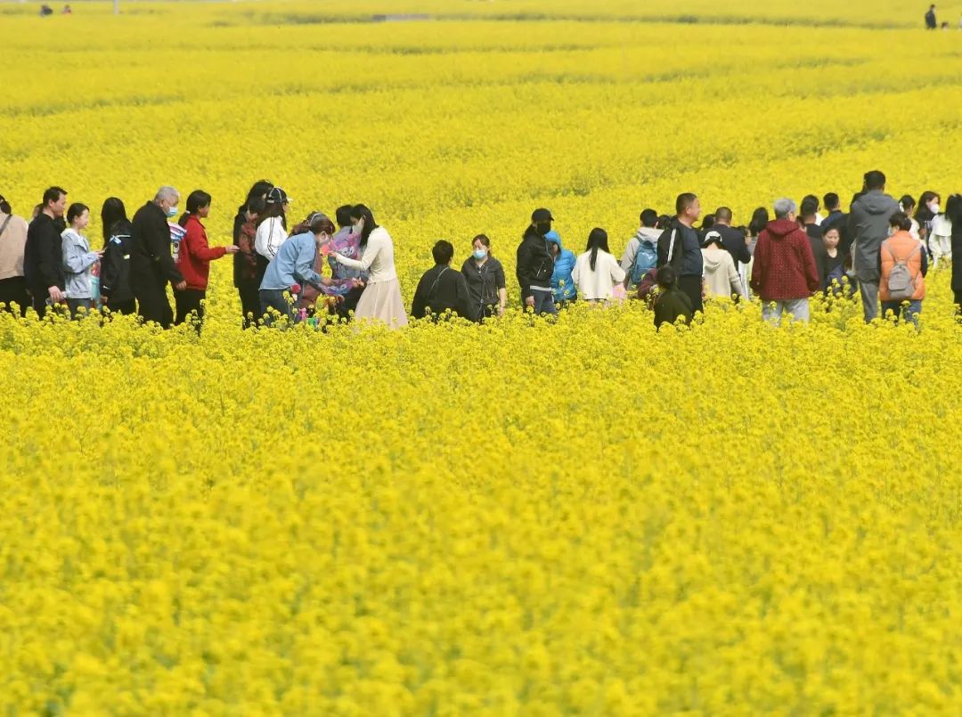 一季度農村居民國內出遊人次大增39.2％，原因何在？