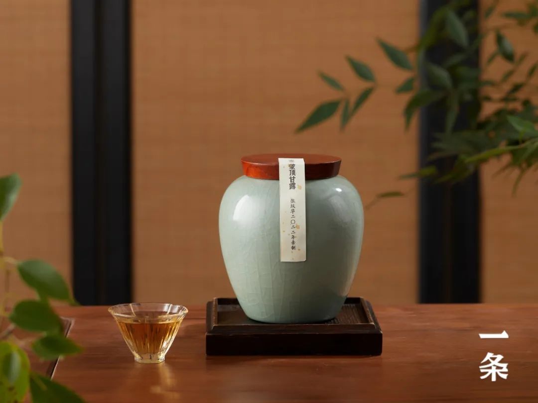 眾籌丨2025頭採蒙頂甘露、蒙頂黃芽，舌尖上的一口鮮！