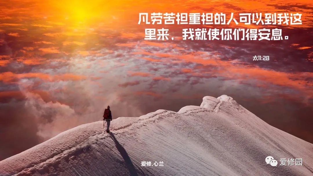 專心尋求就必尋見