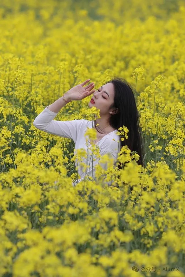 春之約——上海蘇州單身徒步營：名校戶外第2期，桃花櫻花油菜花，與你有約！