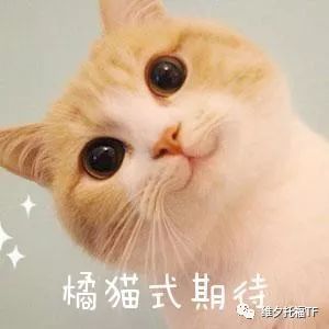 【重磅】ETS公佈2020年託福®考位！全年50場，23號開始報名！！！