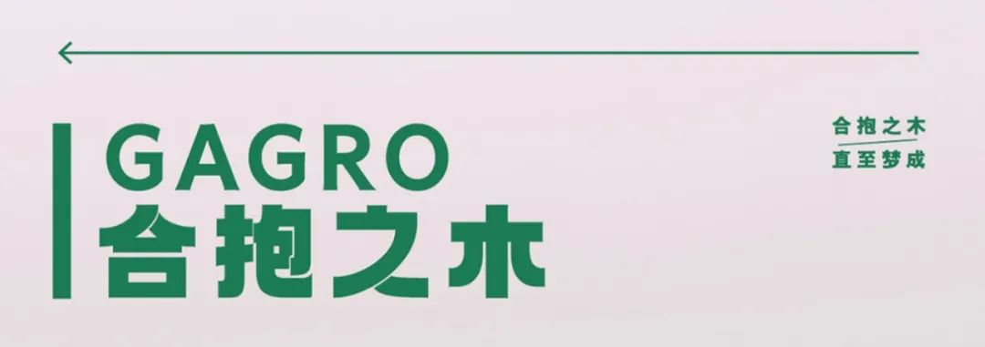 合抱之木2025中美圓桌論壇｜站在時代的十字路口，我們如何破局？
