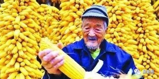 別吹了，再吹農業只剩雞毛了！