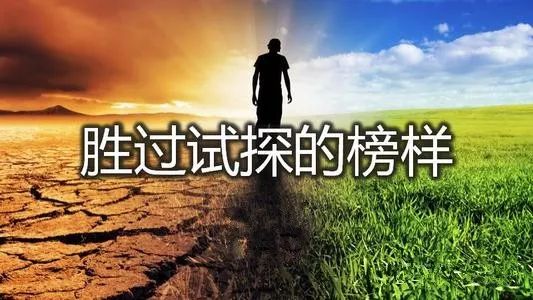 語音查經：​我們無法阻止飛鳥從頭上飛，但卻可以阻止飛鳥在頭上搭窩…