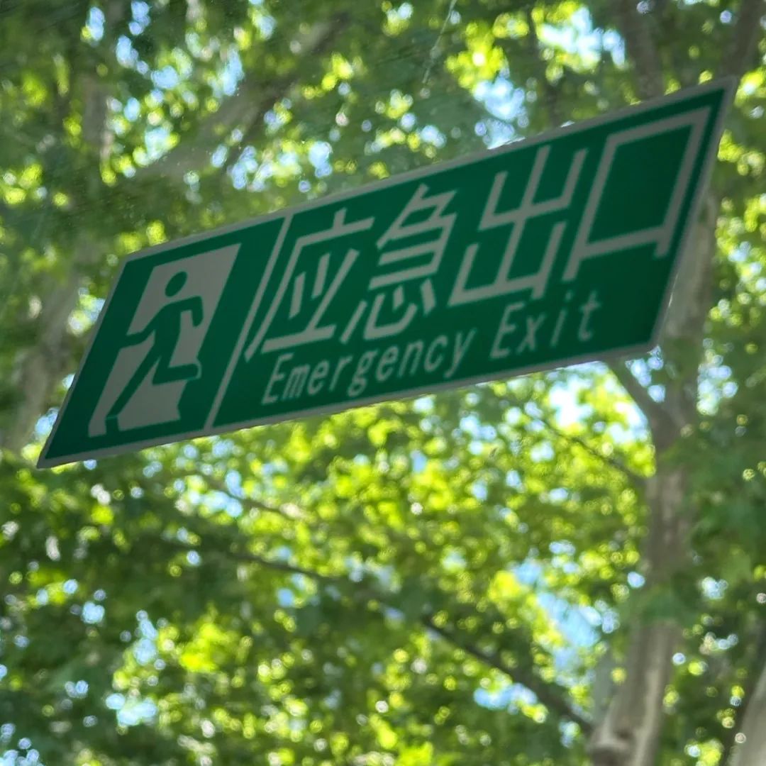 5月，「如果夏夜不太悶熱，我們就去散步」