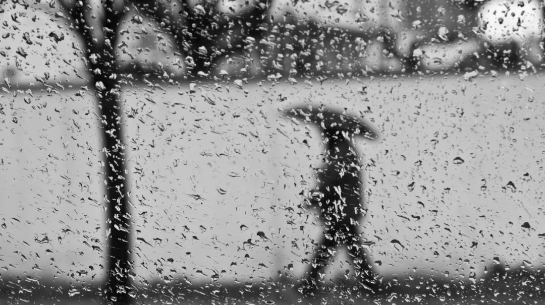 汪曾祺|想念昆明的雨、菌子和楊梅