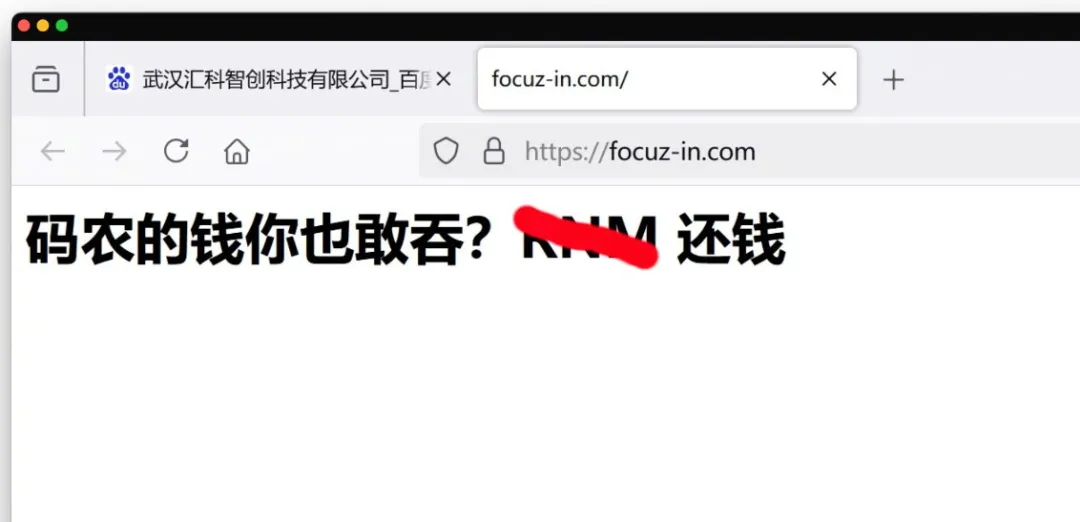 國企也中招！官網被掛上“碼農的錢你也敢吞，***還錢”大字