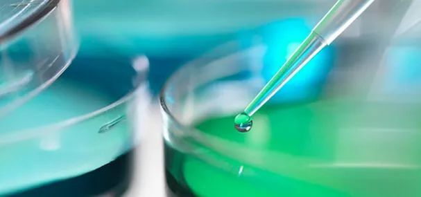 美國就業前景不錯的“生物醫學工程”專業，到底是有多熱門？