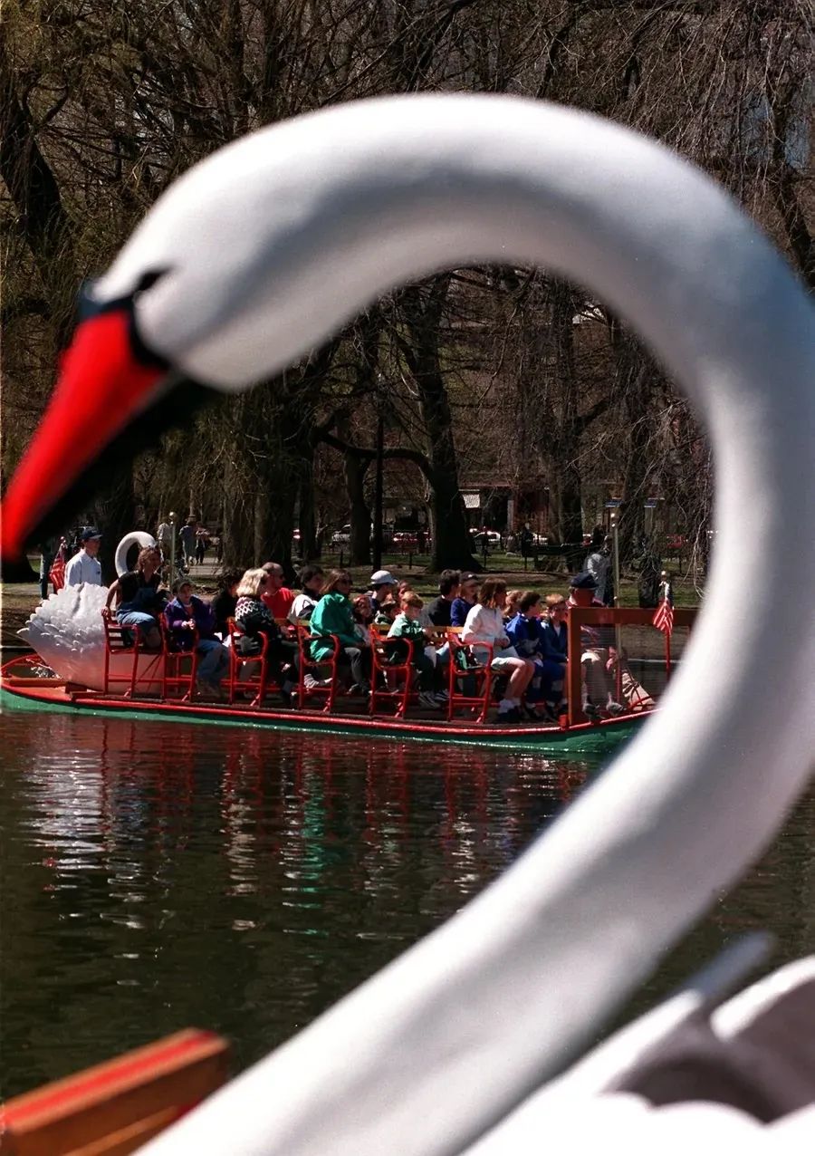 SwanBoat迴歸，波士頓人不能不知道的天鵝船前世今生