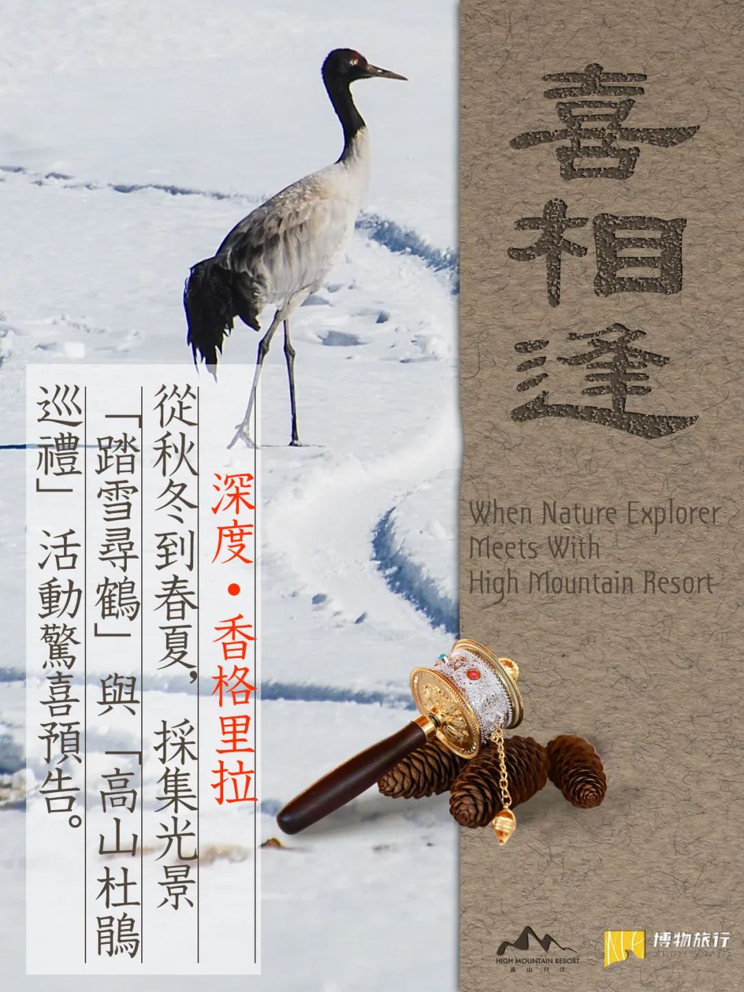 從北京胡同“瞬移”到香格里拉？！