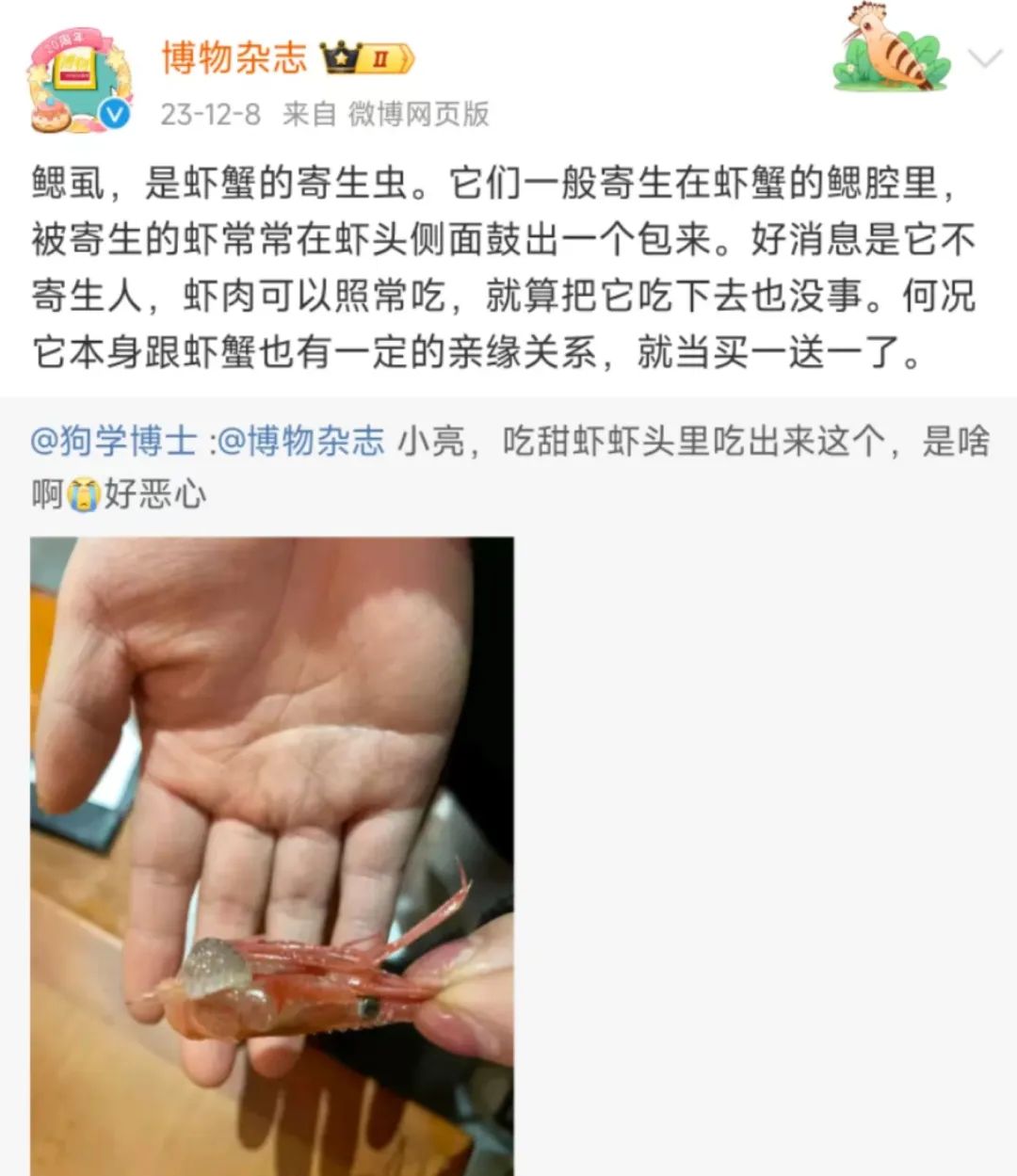 蝦蟹身上吃出來這玩意兒，還能不能吃了？！