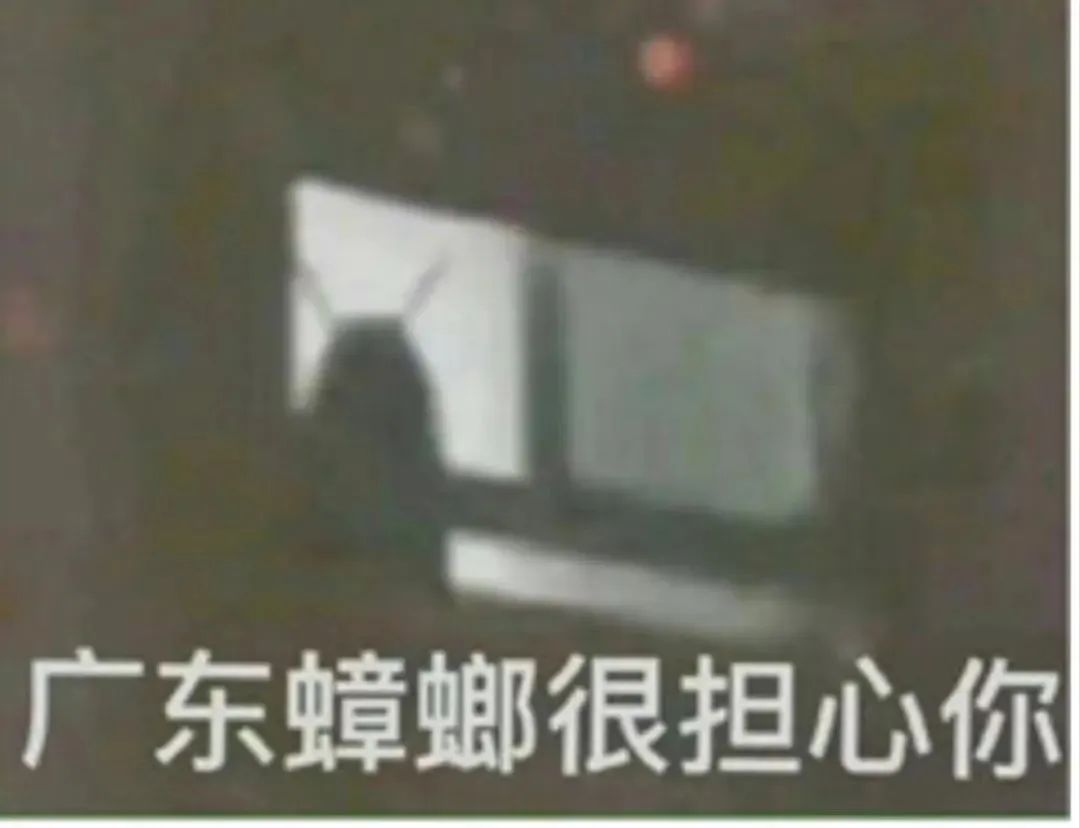 屁股扭來扭去的它是東北美食一絕？！