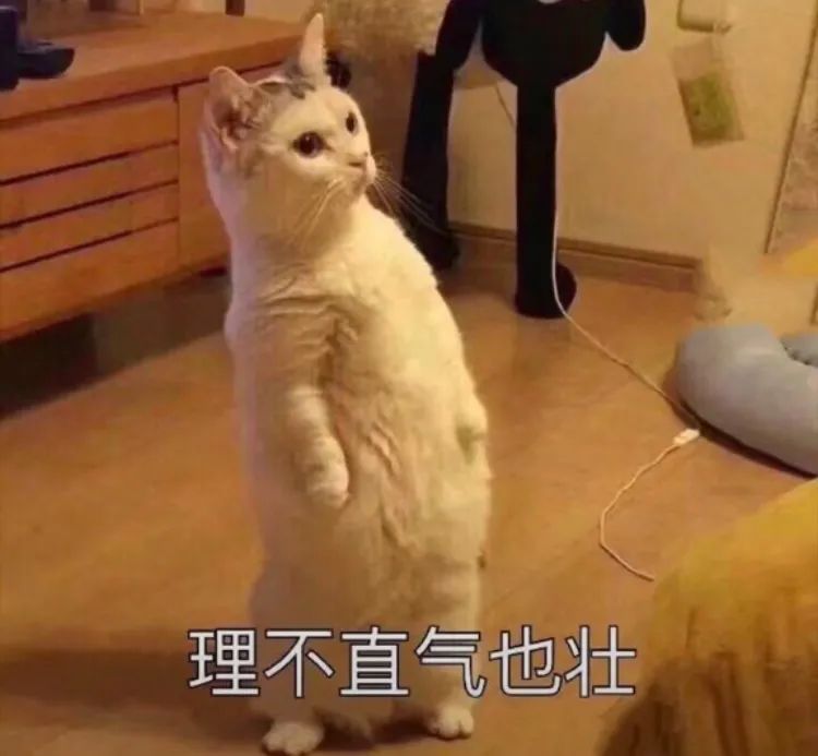 這三種植物，一聽就很“雙十一”！