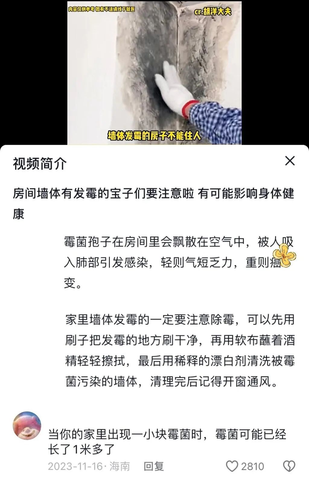家裡出現這些黴菌，再不做大掃除就來不及了！