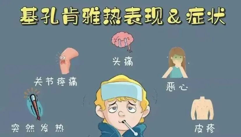 斯里蘭卡｜得登革熱了？有可能不是，是基孔肯雅病！持續發熱，渾身關節疼痛！