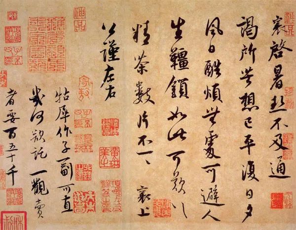 等了一年的臺式烏龍，為什麼這麼好喝？