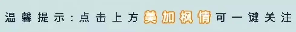 美國IRS新規：不交1099-K表格，你將面臨鉅額罰款