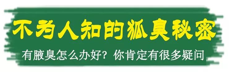 出汗就臭，夏天咋辦？身體異味，怎麼辦？