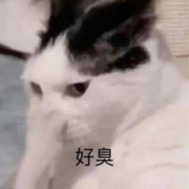 甲醛迎來爆發期？到處都躲不過的甲醛，到底有多致命！