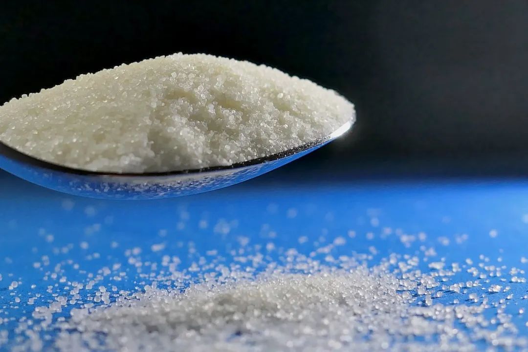 兒科醫生：一歲前這六種食物不要加在輔食裡！