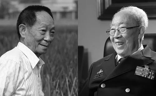 一稻濟天下，肝膽兩崑崙：中國迎來一個尊重科學、崇拜英雄的時代！