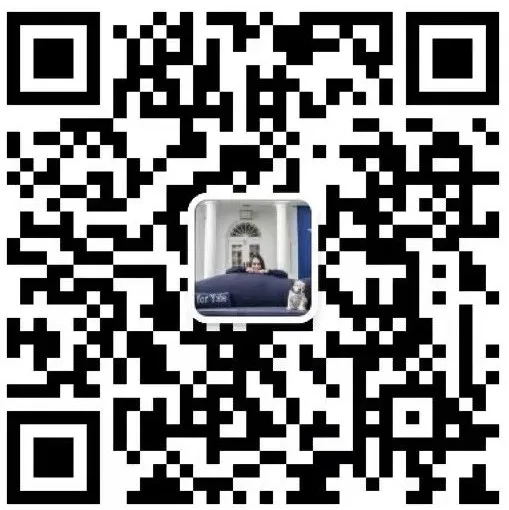 DeepSeek殺瘋了，但申請大學硬鋼CS依然不是明智之選！
