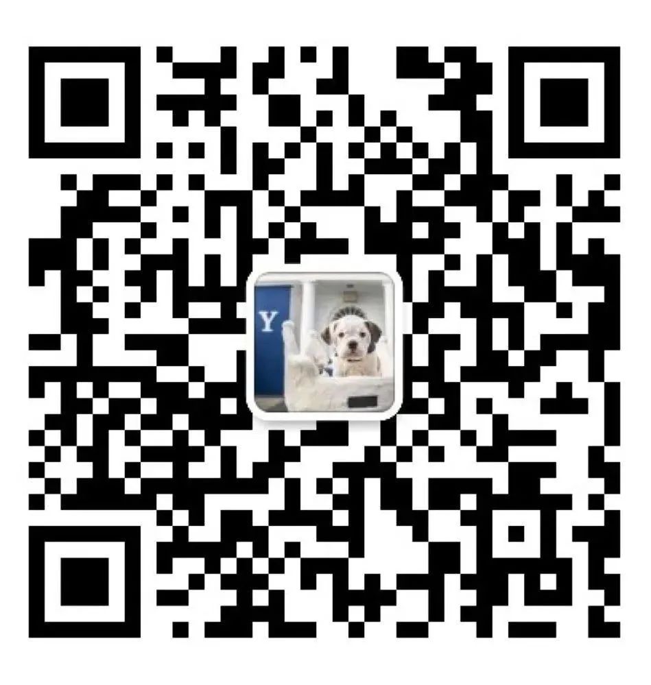 8天訪10名校！與招生官面對面交流，與夢校零距離接觸