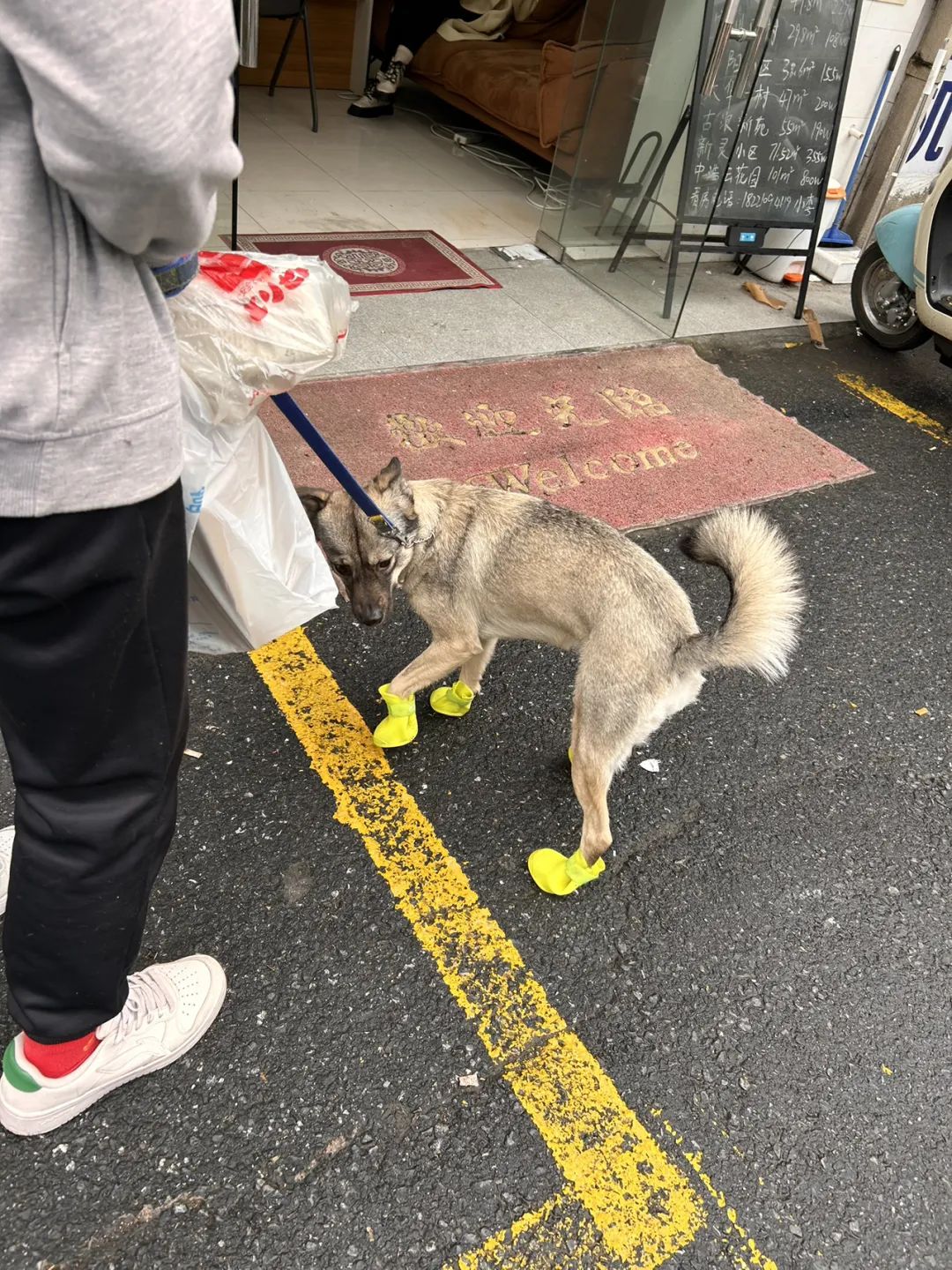 上海圖記